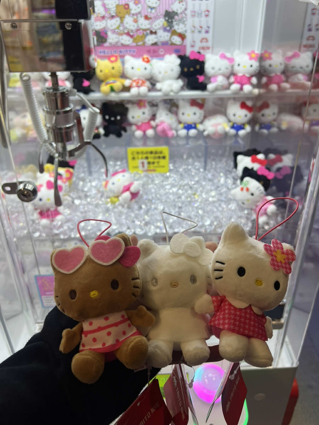 ゲームセンターでキティちゃんいっぱいでてたよ🎀🫧白だけ300円つかったけどあとは100円でとれて良心的すぎた🍀#クレーンゲーム #ゲームセンター #hellokitty #kitty #ハローキティ #おすすめ 