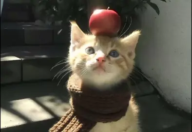 Le Sserafim - Good Parts MM SUB #lesserafim #mmsub #kpop #kpopfyp #fyp 