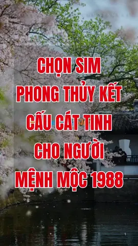 Chọn sim phong thủy kết cấu Cát tinh cho người mệnh Mộc sinh năm 1988. #simphongthuy #simhopmenhmoc #simhoptuoi1988 #simdaicat #sieuthisimthe 