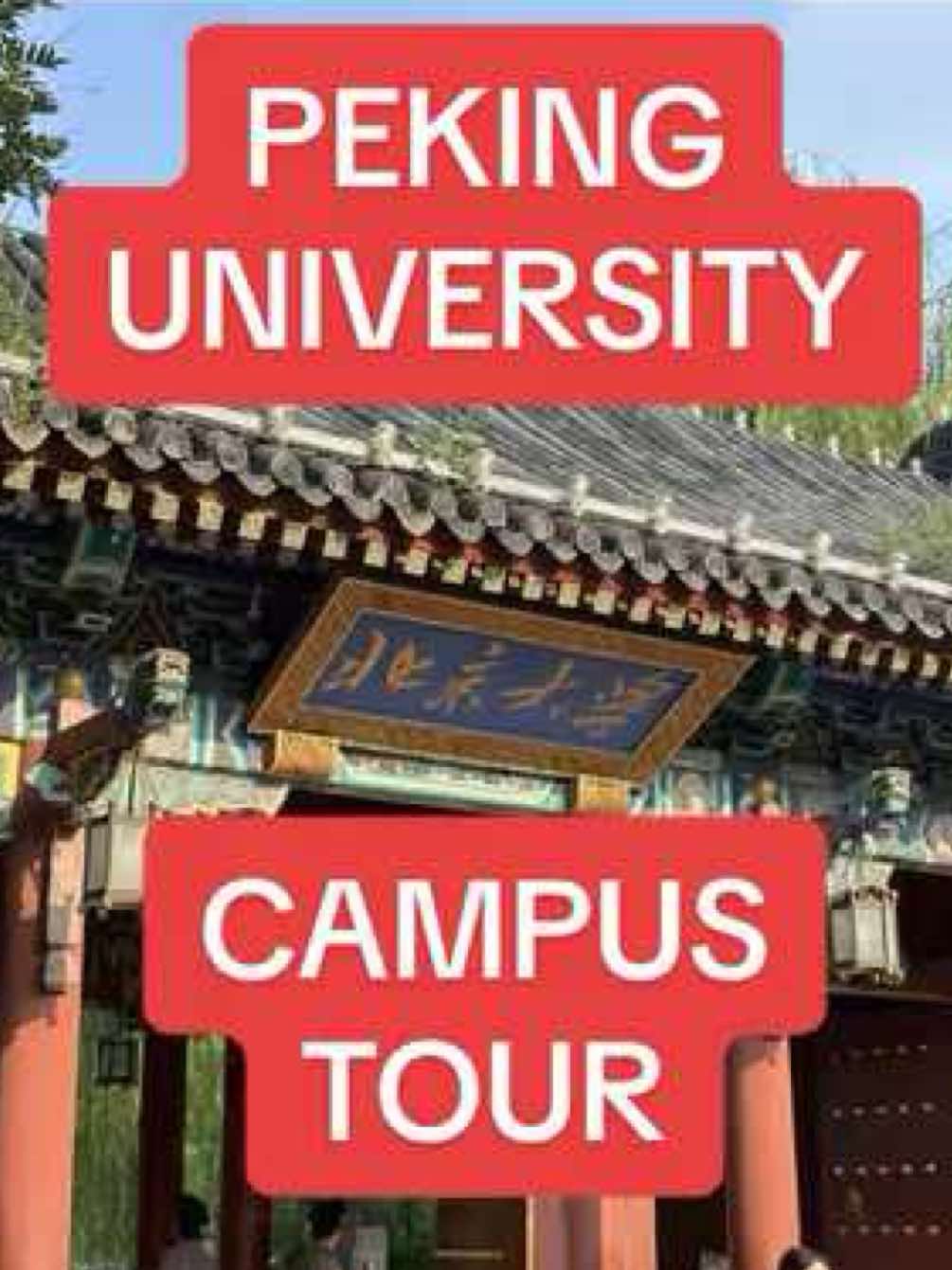 Here's what a college campus looks like at one of China's top universities 🇨🇳 I'm exchanging at Peking University (PKU) this semester — known for having one of the most beautiful campuses in China. From Weiming Lake and old Chinese architecture to cheap canteen food, and student life in Beijing, here's a quick PKU campus tour! Let me know what you want to see next - dorms, classes, food, or student life? #PekingUniversity #PKU #Beijing #ChinaVlog #CampusTour