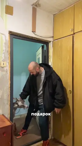 Нормальный подарок?