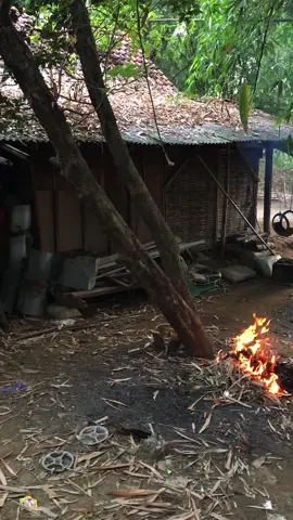 Suasana kampung jawa di pagi hari #kampunghalaman #vibes #nostalgia #fyp 