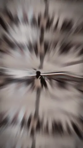 #CapCut #pangbowen #viral 