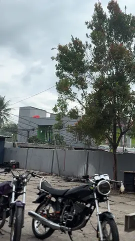 #rxking135cc #blayer135cc 