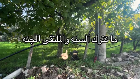 #صلوا_على_النبي #اذكروا_الله #oops_alhamdulelah #تصويري_احترافي_الاجواء👌🏻🕊😴 #الشعب_الصيني_ماله_حل😂😂 