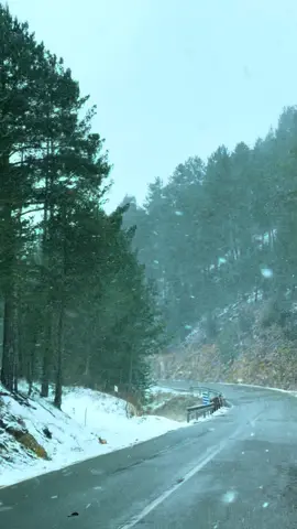 #muzica_pe_suflet #Versuri adevărate!#