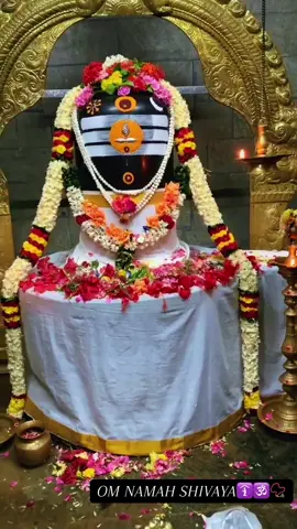 #omnamahshivaya #lordshiva #harharmahadev #mahadev #adiyogi 