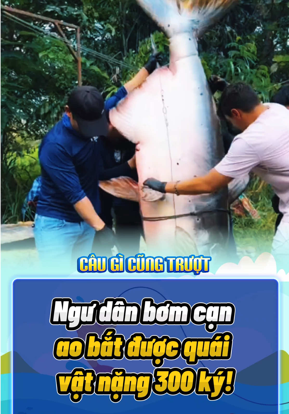 Ngư dân bơm cạn ao bắt được quái vật nặng 300 ký! #fishing #fishinglife #rarecatch #fishingtok #foryou 