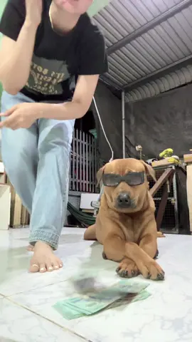 Khi rủ đứa khoái xiền quay trend 