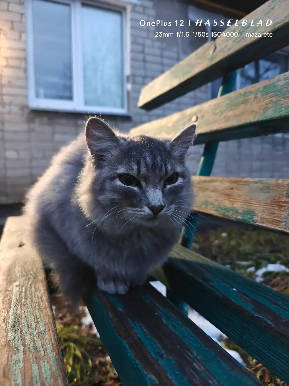 #капсула #пушистая #fyp #on #cat #rek #глобальныерекомендации #рекомендации #коты #котик #кот https://t.me/mztkoteke - мой тгк mztkoteke