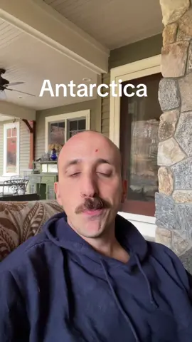 Ursa is also latin for bear 🐻 