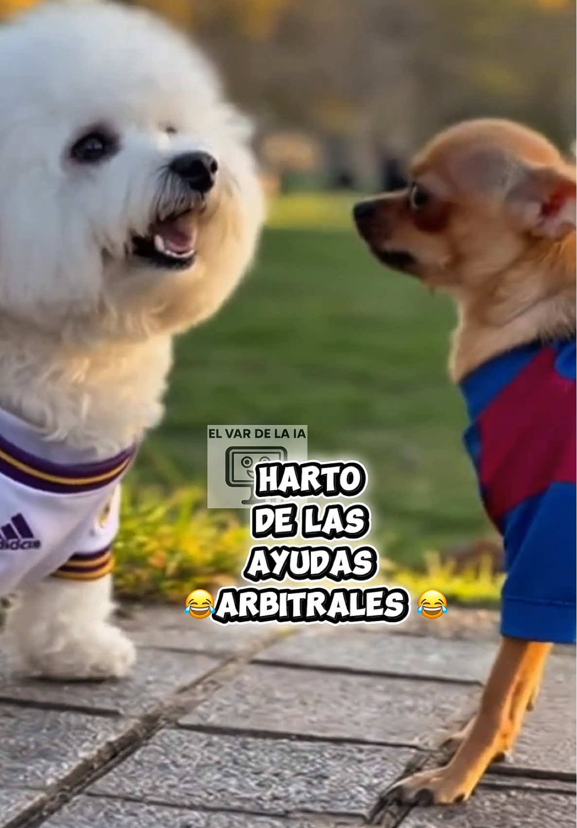 Siempre AYUDAS ARBITRALES!! 😂😂 #humor #realmadridfc #fcbarcelona #realmadridcf #atleticodemadrid 