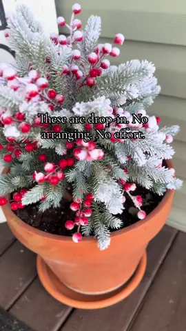 I’m in my getting ready era — all the cozy Christmas feelings are here, but I’m not quite ready to go full décor explosion yet. These evergreen pot fillers are the perfect soft start. Frosted greenery + berries = an instant festive vibe with basically zero effort. Just drop them into a vase, crock, or basket and the whole room feels like winter magic. ❄️✨🌲 #ChristmasDecor #WinterDecor #CozyHomeVibes #MinimalHolidayDecor #AestheticHome
