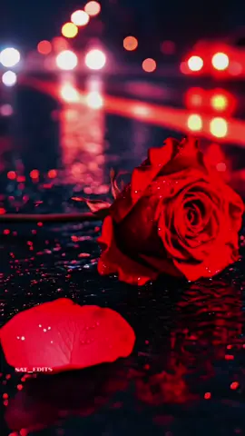 Roja malarae rajakumari 🌹🌹 Singers :P. Unni Krishnan, Harini #tamilsong #remix #fypシ゚ #trending #capcut 