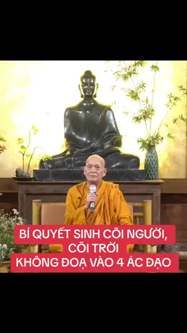 #xuhuong #sugioiduc #phatgiaonguyenthuy #theravada #samtheravada 