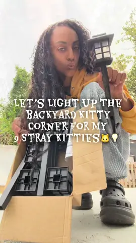 #cathouse #outdoorlighting #outdoorcathouse   