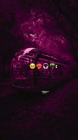 Galadebi Go,aankeni💕🥺#jawi_bila🌊❤️🌴 #viewsproblem😭😭😭 #somaalilyrics🌺😐💎 #sharmalyrics #fyyyyyyyyyyyyyyyyyyyyyyyyyyyyyyyyyy 