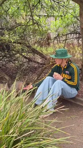 Một ngày ở sở thú 🇦🇺 của ba bạn 🦝🦦🦊 … Ủa 🤪 #KayTran #BuiCongNam #TangPhuc