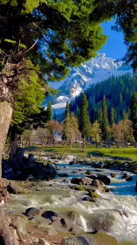 Sobrevoando o Paraíso: Himalaia em 4K com Riachos Cristalinos e Montanhas Majestosas #nature #travel #Natureza #relax #paisagem 
