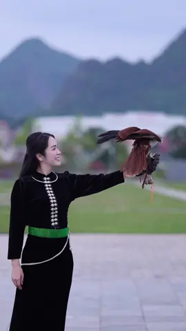 Người đẹp và Chim 🙈🙈#xuhuong #tragiang #nghenhantragiang  #taybac  #sonla 