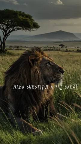 #paz #amor❤️ #destacame 