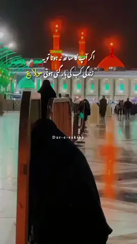 اگر آپ کا ساتھ نہ ہوتا تو یہ زندگی کب کی ہار گئی ہوتی مولا ع ❤️‍🩹#i_need_your_support #explore #duresakina #viralvideos #pleaseunfreezemyaccount 