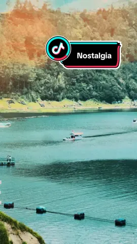 Se nostalgia ini #coversong #nostalgIA #radjaband 