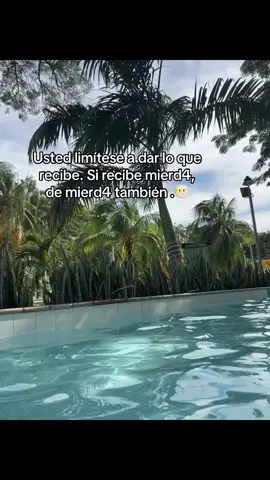 No es + #paratii #viral #contenido #pipebueno 
