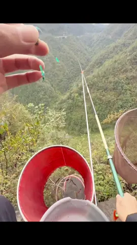 Câu cá ở cảnh giới đỉnh cao #docaucagiai 