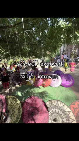 #ptn9i #likeလေးတော့ပေးပါ😣 #fypviralシviral #view #fyppppppppppppppppppppppp 