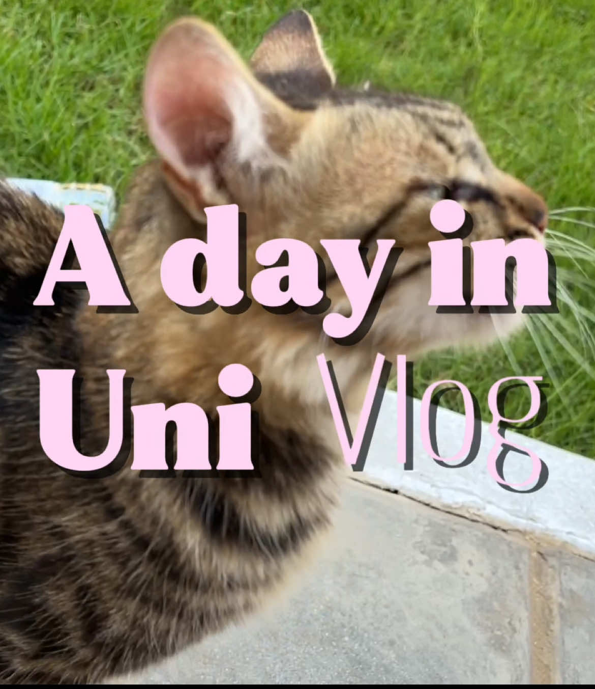 #fyp #uni #fypage #اكسبلور #Vlog with jeje