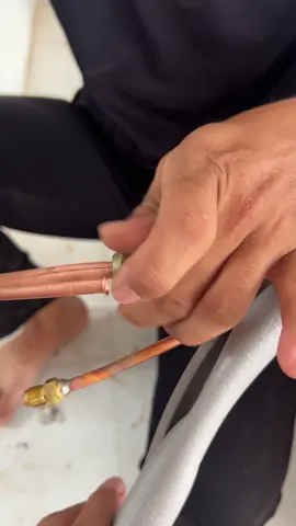 Mỏ lết tôm vẫn là thứ gì đó #điệnlanhmiennam #fyp #xuhuong 