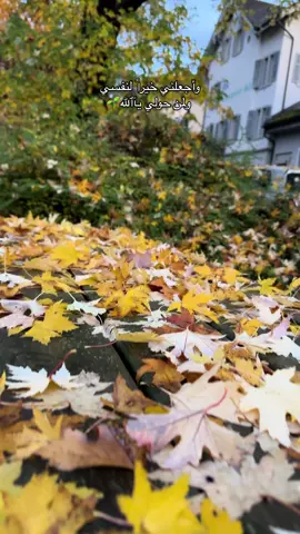 #وأجعلني خيراً لنفسي ولمن حولي يآٱللله🌱#qamishlo_derik_amude_afrin_hasake #luzernswitzerland🇨🇭 #flughaftenmemmingen🇩🇪 ##halloween  @Alexarthurofficial 