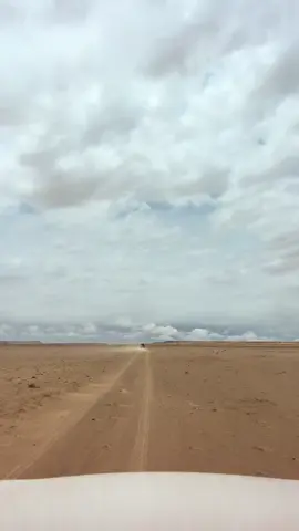 #ارماه_ثمود_المنهالي #اكسبلورexplore #لايكexplore #الخرخير #الربع_الخالي_الرمله 