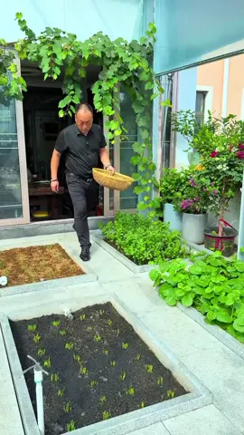 حديقة في بيتك! شوف كيف هذا العم صنع جنة صغيرة بدون تكلفة 🌿#الصين #حديقة_منزلية #زراعة #زراعة_الأسطح #اكتفاء_ذاتي 