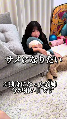 婚期を逃すわけには行きませんwwwwwwwww#おすすめ 