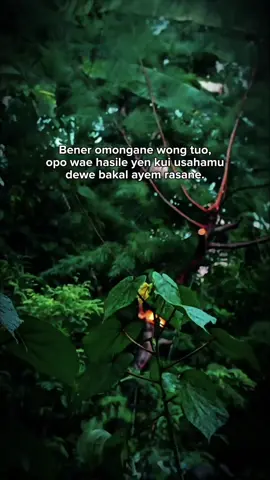 #katakata #jowopride #4u 