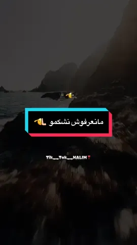 #fyp #motivation #لايك__explore___ #فرنسا🇨🇵_بلجيكا🇧🇪_المانيا🇩🇪_اسبانيا🇪🇸 #amir_jazaery  @😉❤ولد بومدفع💪🏻✅ @😉❤ولد بومدفع💪🏻✅ 