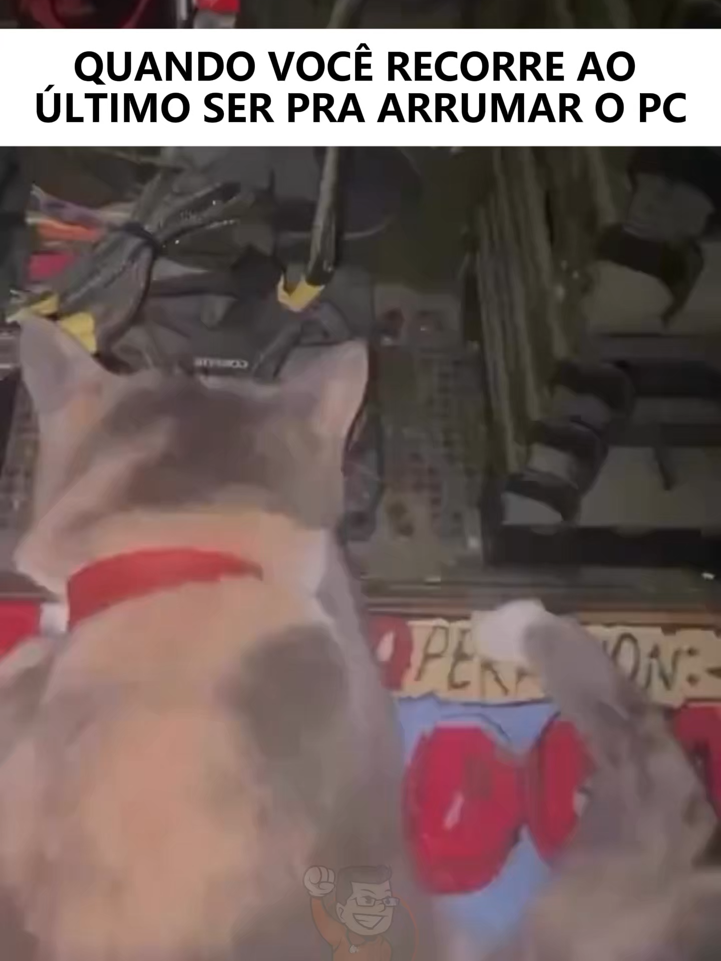 Toda ajuda é pouco pra um PC que não liga. 😺 Ta precisando fazer um upgrade no seu setup ou ta montando o seu PC, você precisa aproveitar as ofertas que estão rolando no nosso site, clique no link da nossa BIO ou dos Stories. #Meme #MemesBrasil #Terabyte #PGGamer #Gamer