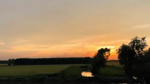 Điện ảnh của tôi. #xuhuong #violetlmt #chill #edit 