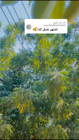 #جخو،الشغل،دا،يا،عالم،➕_❤_📝✌️🌍🦋 #ود #يحي  #لايك_متابعه_اكسبلور  #شنابله_يا_رسول_الله🔐❤ 