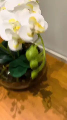 🆔 👉🏻 CJS-KBM-WTQ Aparador Buffet 4 Portas Pés de Madeira Retrô para sala de jantar 100% MDF Eva Cimol Off White/Cinamomo  #aparador #aparadorbuffet #casa #shopee #decoracaodecasa 