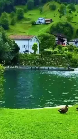 #viralvideo #viral #keşfetteyizzz 