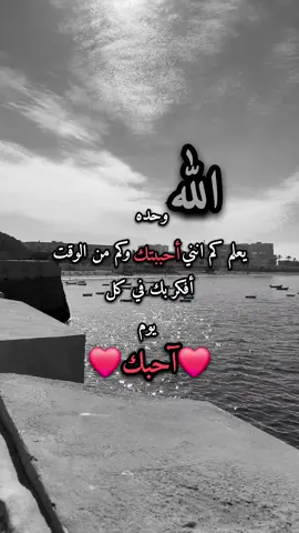 #ramix0000❤🔥💋 #آحبك #حبيبي #loveyou 