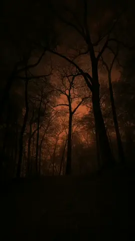 Surah Taha 74-76 #murottalquran #murottal #murottalquran 