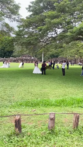 ពិតៗ🥹 #fyp #siemreap #viral #trend #funny 