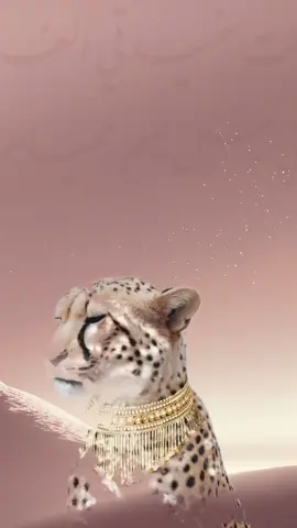 السعر ٤٠ ريال  #بشارة_مولودة #مواليد #حفيدتي #بشارة_مواليد #اكسبلور 