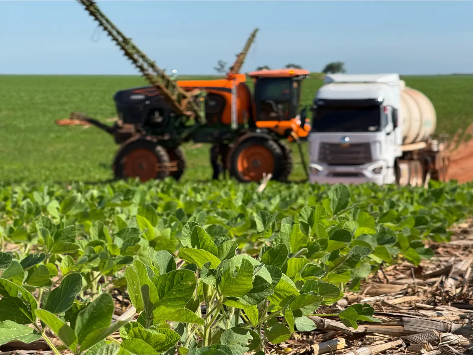 #stara #agro #😍 #paratiiiiiiiiiiiiiiiiiiiiiiiiiiiiiii 