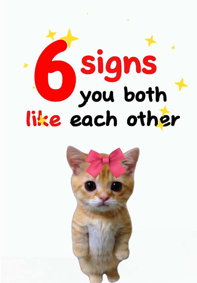 6 signs you both like each other (school edition) 