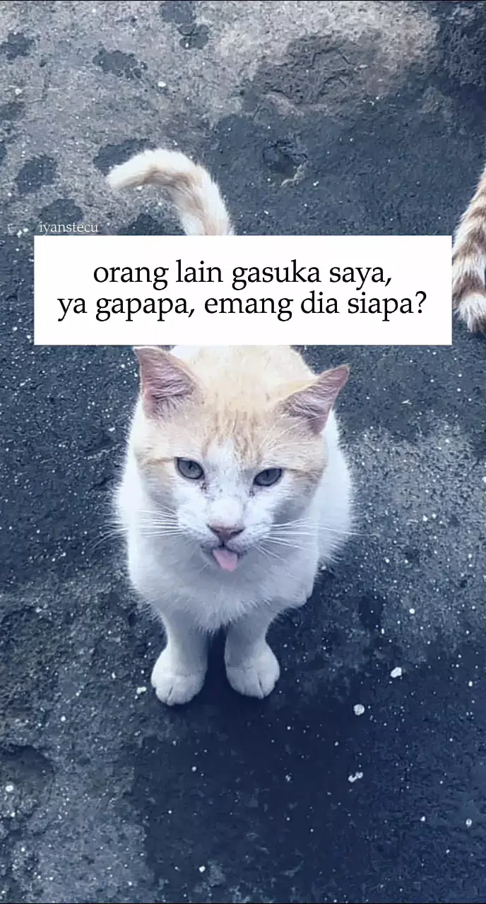 #fyp #iyanstecu #story 